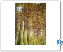 collection 5 Filettature e frange 125
